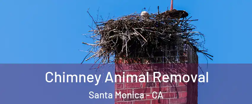  Chimney Animal Removal Santa Monica - CA