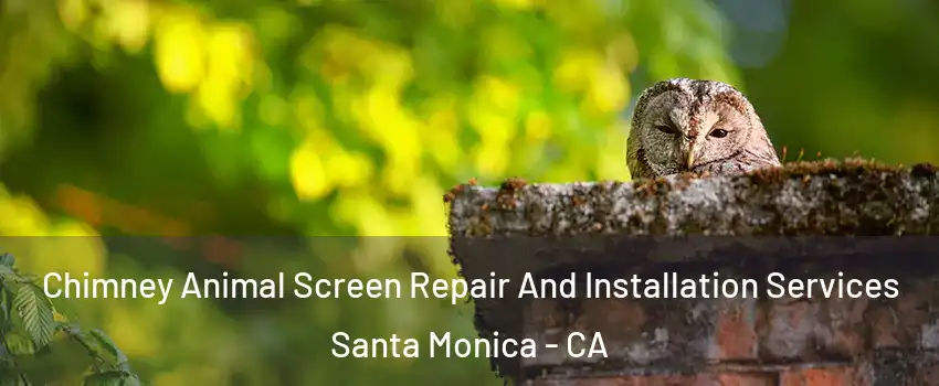  Chimney Animal Screen Repair And Installation Services Santa Monica - CA