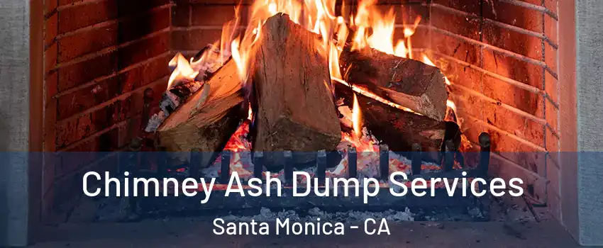  Chimney Ash Dump Services Santa Monica - CA