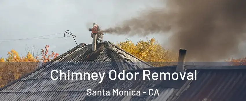  Chimney Odor Removal Santa Monica - CA