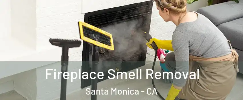  Fireplace Smell Removal Santa Monica - CA