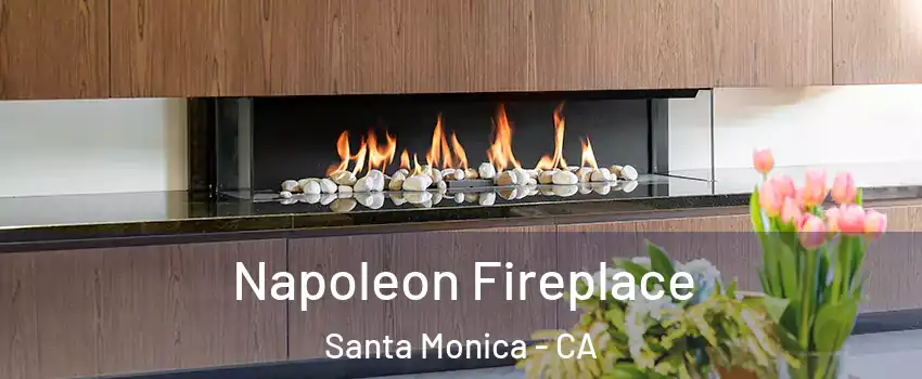  Napoleon Fireplace Santa Monica - CA